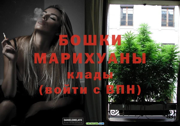 PSILOCYBIN Абаза