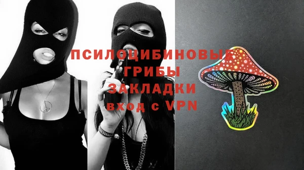 PSILOCYBIN Абаза