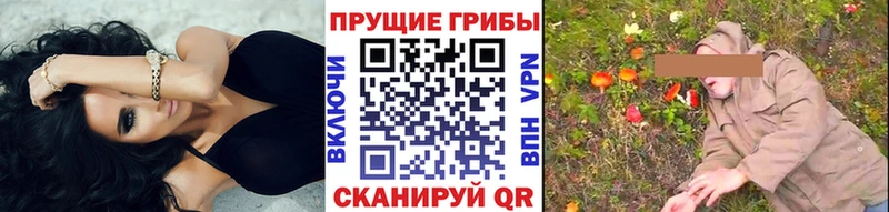 дарк нет состав  hydra ссылка  Стерлитамак  Псилоцибиновые грибы GOLDEN TEACHER 