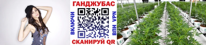 Канабис сатива  где купить наркоту  Стерлитамак 